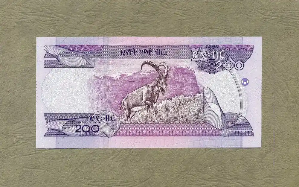 Ethiopia 200 Birr 2020 P.56a unc/kassenfrisch - Rabatt